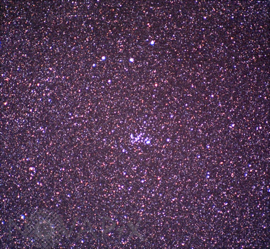 Open cluster NGC 6025 (C95) in Triangulum Australe