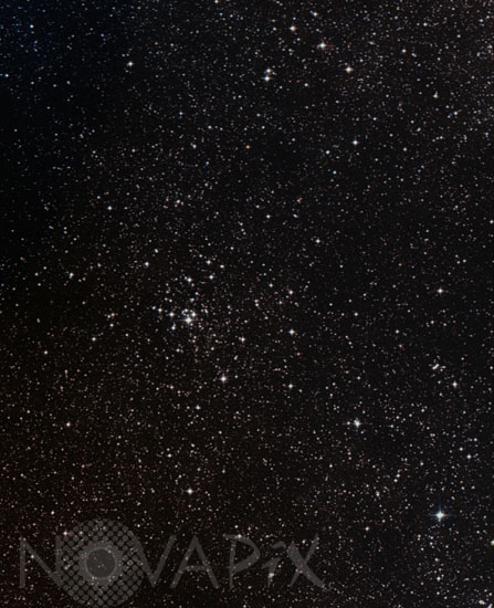 Open cluster M21 in Sagittarius