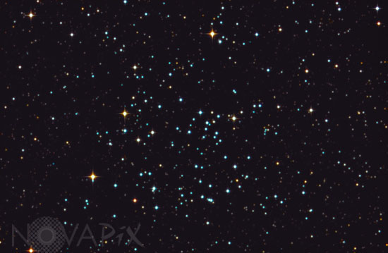 Open cluster NGC 6811 in Cygnus
