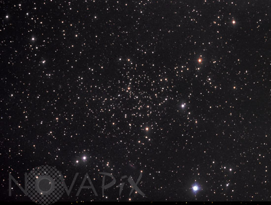Amas ouvert NGC 7142 dans Céphée