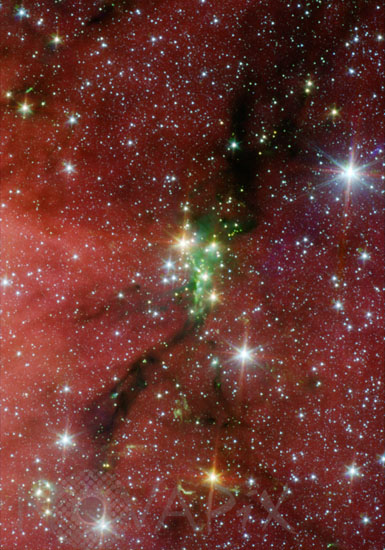 The Serpens South star cluster