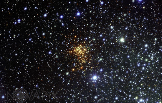 Amas ouvert Westerlund 1 dans l'Autel