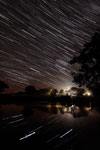 Filé d'étoiles