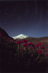Circumpolaire et Mont Damavand (Iran)