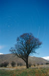 Circumpolaire 