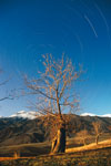Circumpolaire 