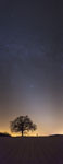 Ciel étoilé et lumière zodiacale