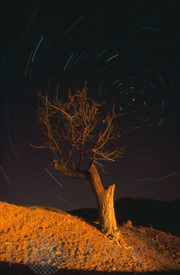 Circumpolaire 