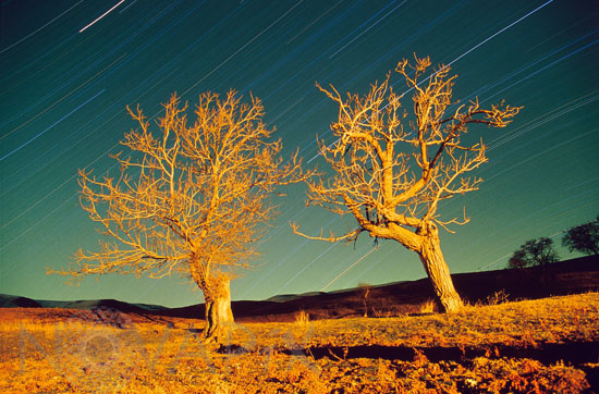 Star trails