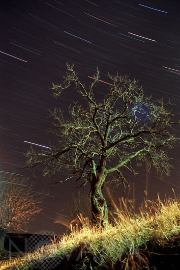 Filé d'étoiles