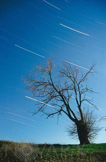 Filé d'étoiles
