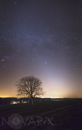 The Pleiades cluster with zodiacal light