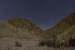 Etoiles filantes 