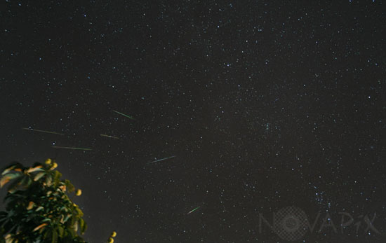 Pluie d'étoiles filantes, Perseides 