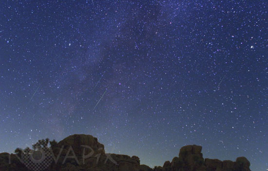Perseid Meteors