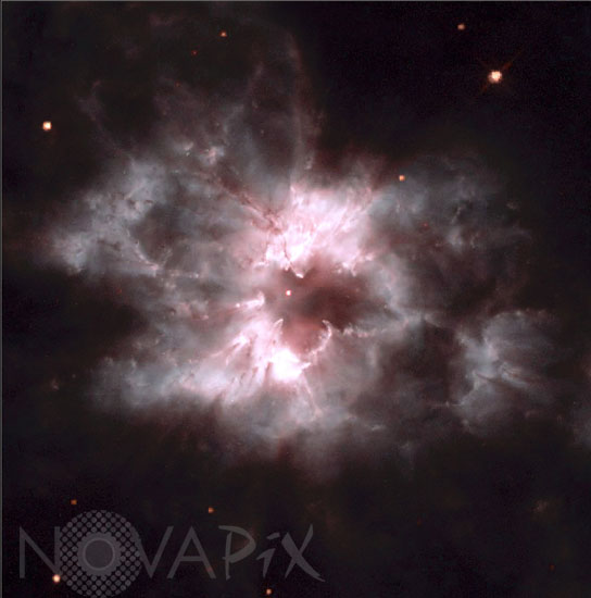 Nébuleuse planétaire NGC 2440 dans la Poupe