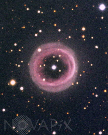 The planetary nebula Shapley 1
