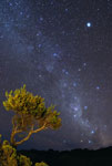 Voie lactée et Canopus - La Réunion