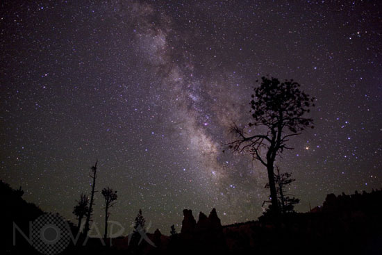 Summer Milky Way