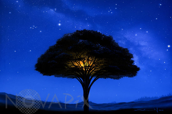 Voie lactée et lueur dans un arbre-Vue d'artiste